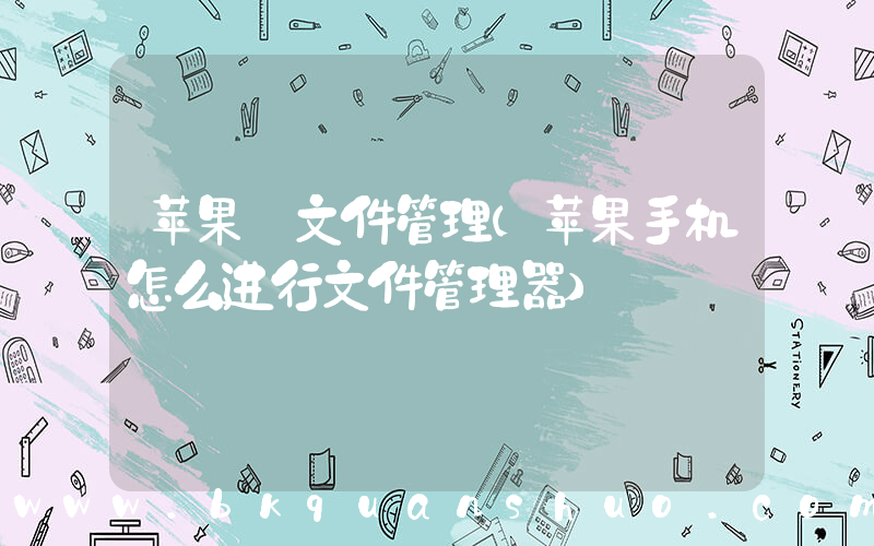 苹果 文件管理(苹果手机怎么进行文件管理器)